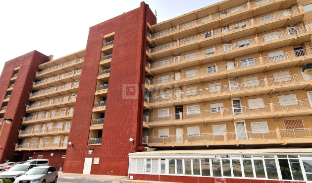 Odsprzedaż - Mieszkanie w bloku - Torrevieja - Costa Blanca