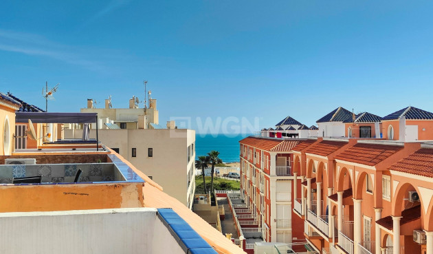 Wiederverkauf - Penthouse - Torrevieja - Costa Blanca