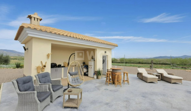 Resale - Villa - Pinoso - Inland