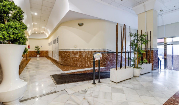 Odsprzedaż - Mieszkanie w bloku - Torrevieja - Centro