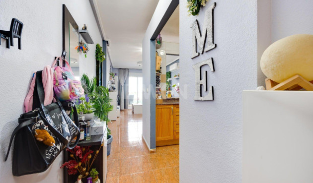 Odsprzedaż - Mieszkanie w bloku - Torrevieja - Centro