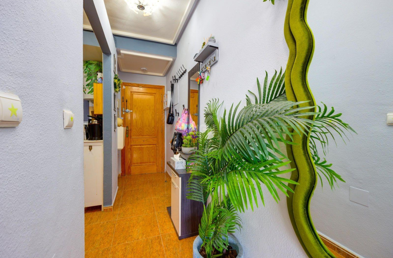 Odsprzedaż - Mieszkanie w bloku - Torrevieja - Centro