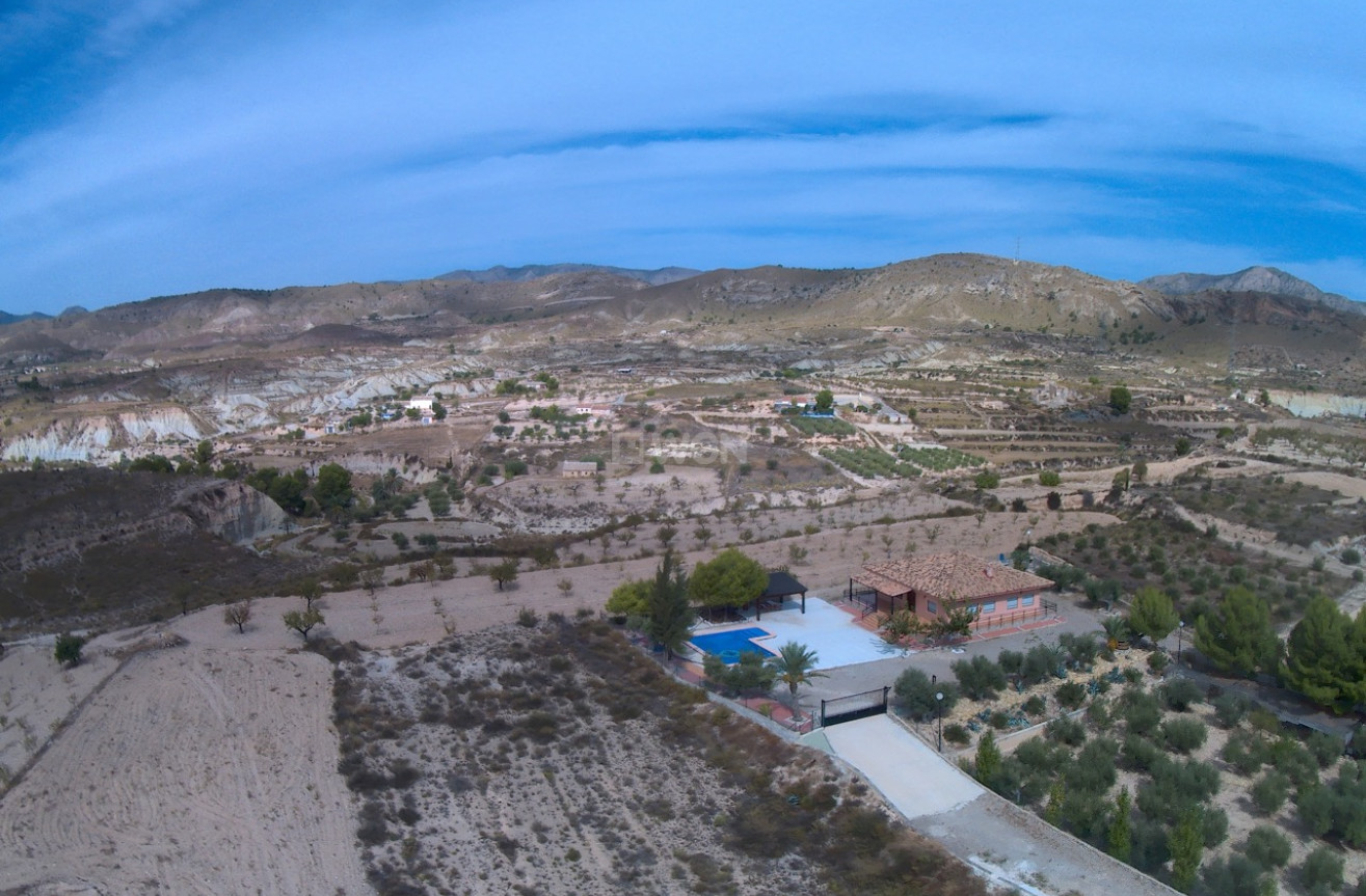 Resale - Villa - Abanilla - Inland