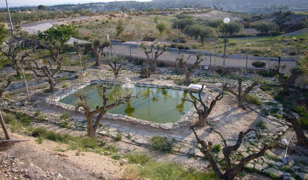 Resale - Villa - Abanilla - Inland