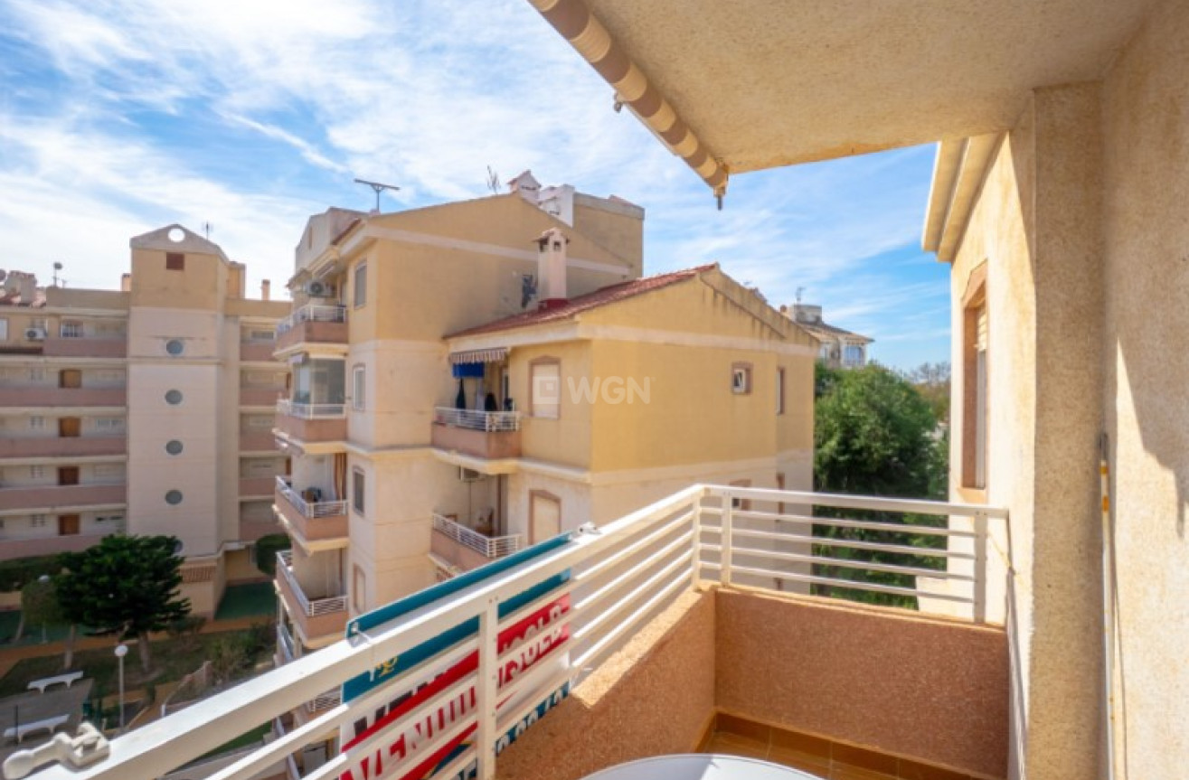 Reventa - Apartamento / piso - Torrevieja - Costa Blanca