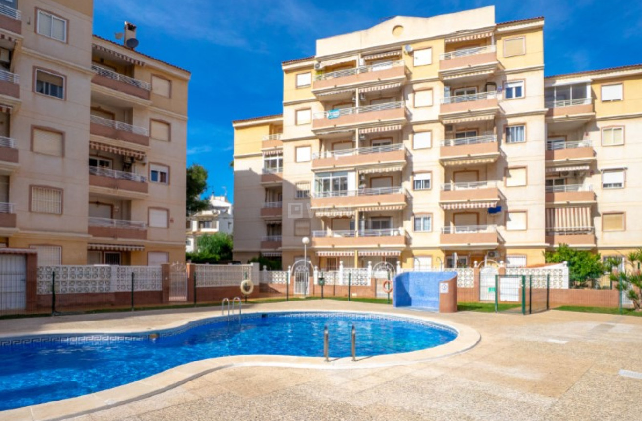 Reventa - Apartamento / piso - Torrevieja - Costa Blanca