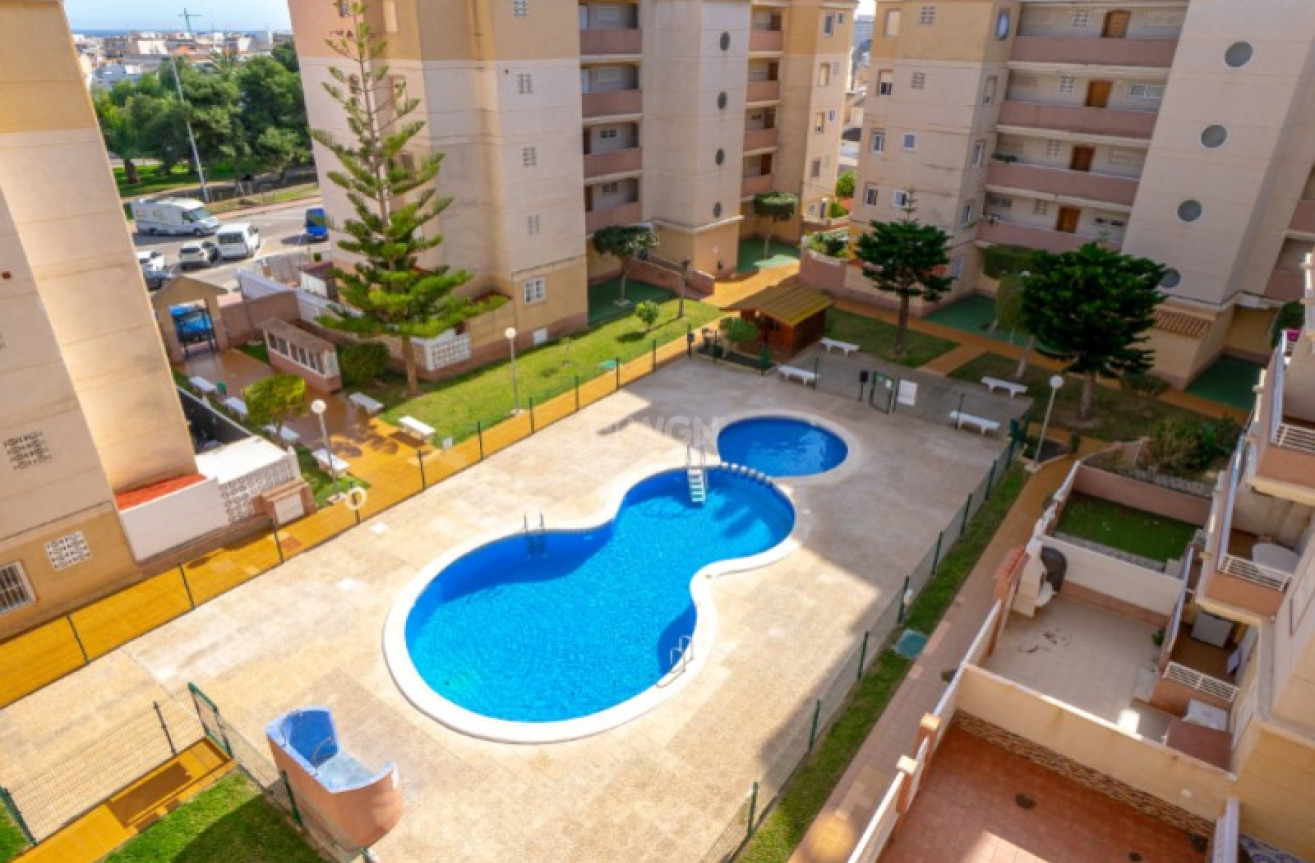Reventa - Apartamento / piso - Torrevieja - Costa Blanca
