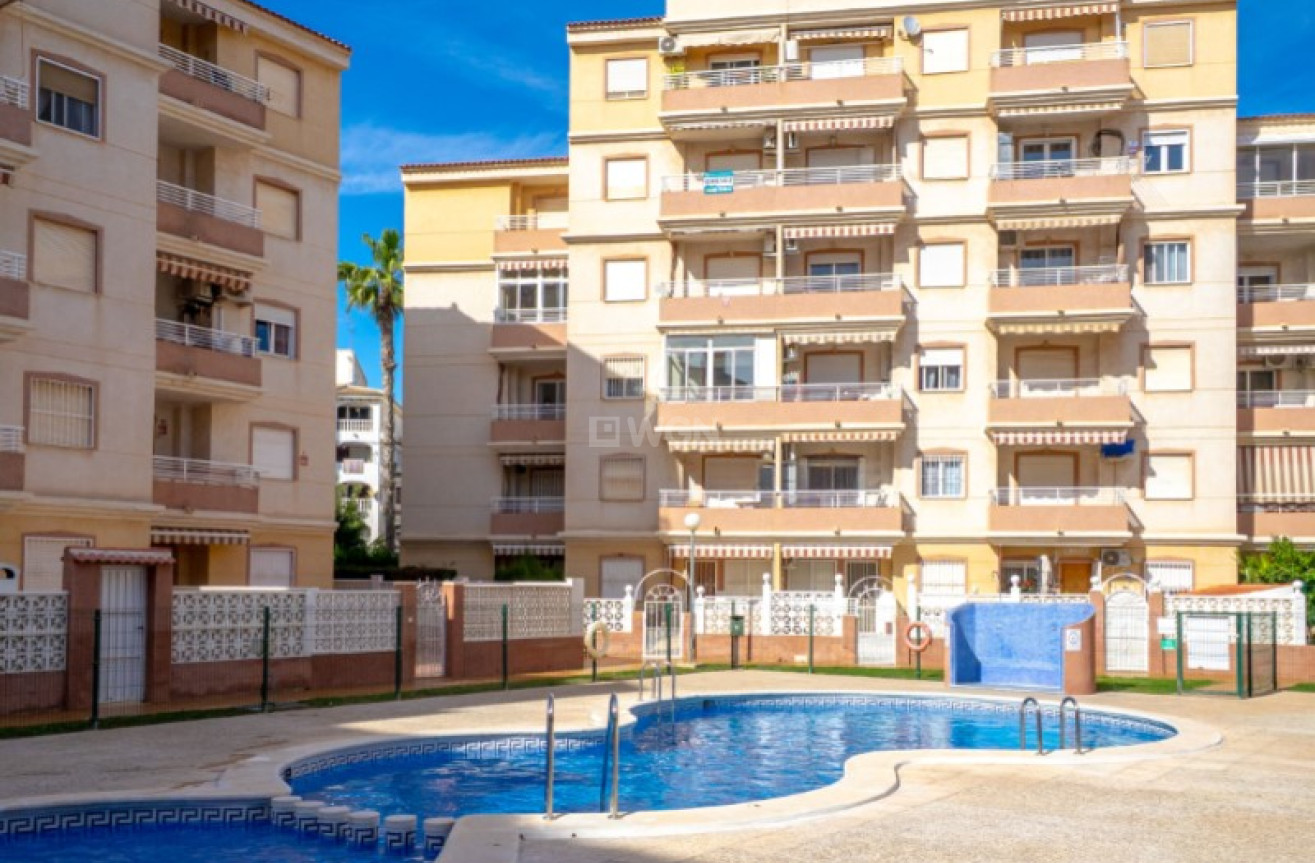 Reventa - Apartamento / piso - Torrevieja - Costa Blanca