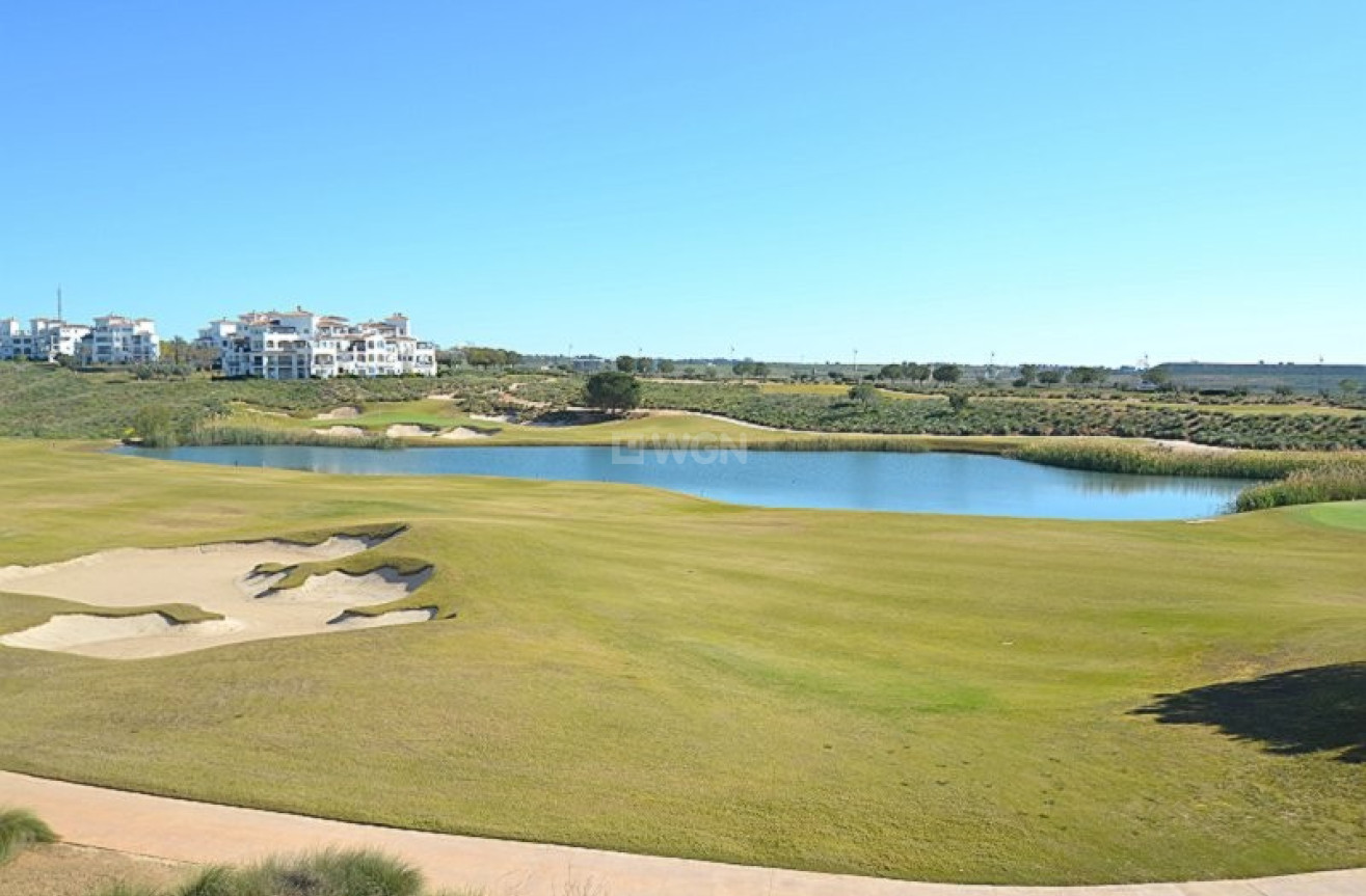 Resale - Apartment / flat - Hacienda Riquelme Golf Resort - Inland