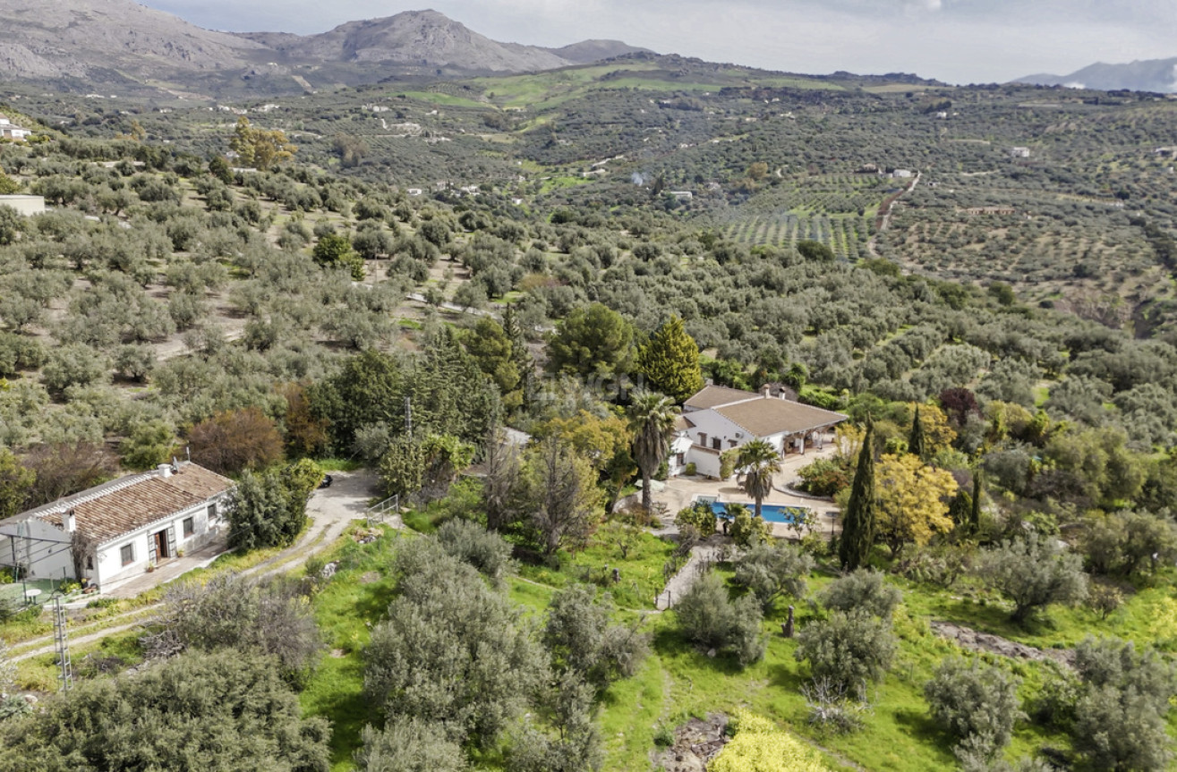 Resale - Villa - Periana - Inland