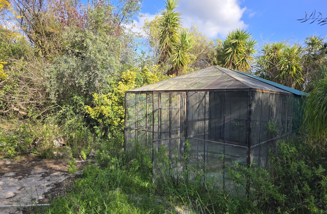 Resale - Villa - Periana - Inland