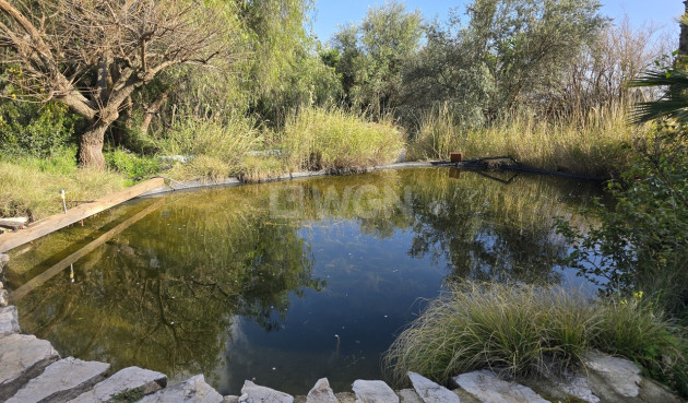 Resale - Villa - Periana - Inland