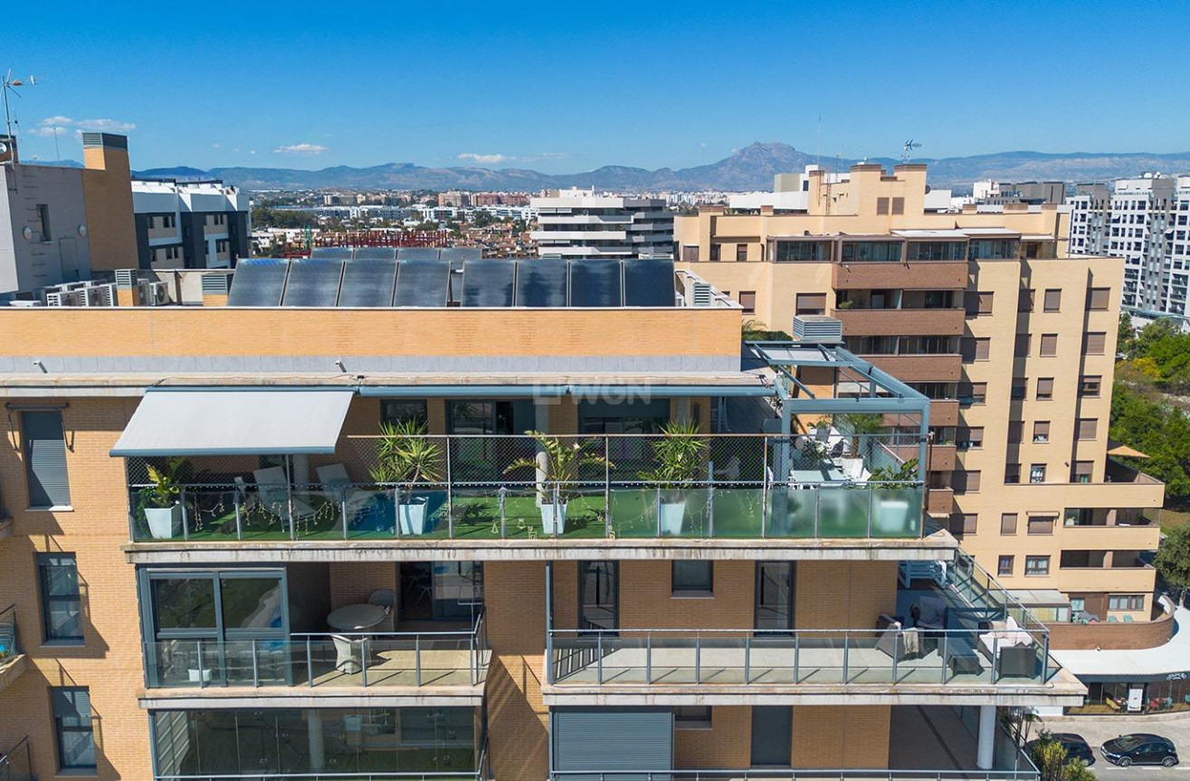 Resale - Penthouse - Alicante - Pau 5