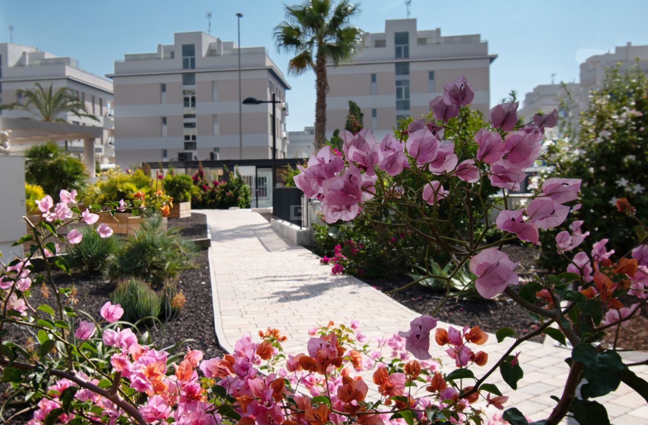 Resale - Apartment / flat - Orihuela Costa - Los Dolses