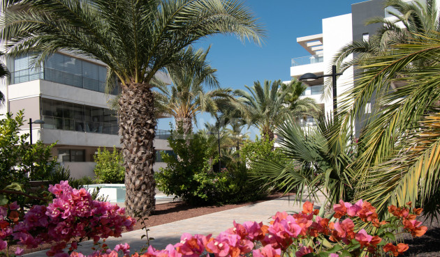 Resale - Apartment / flat - Orihuela Costa - Los Dolses