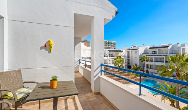 Wiederverkauf - Wohnung - Torrevieja - Costa Blanca