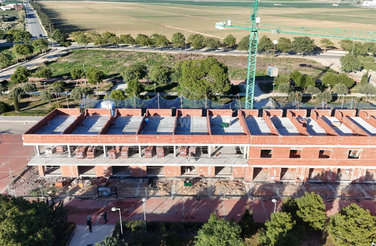 Nowy budynek - Kamienica - Pilar de la Horadada - pueblo