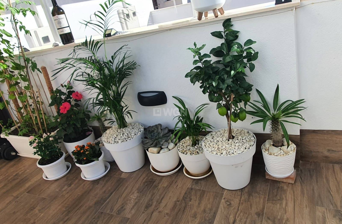 Resale - Villa - San Pedro del Pinatar - CENTRO