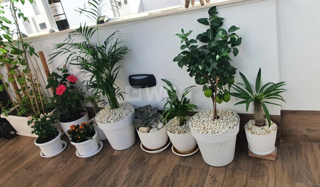 Resale - Villa - San Pedro del Pinatar - CENTRO