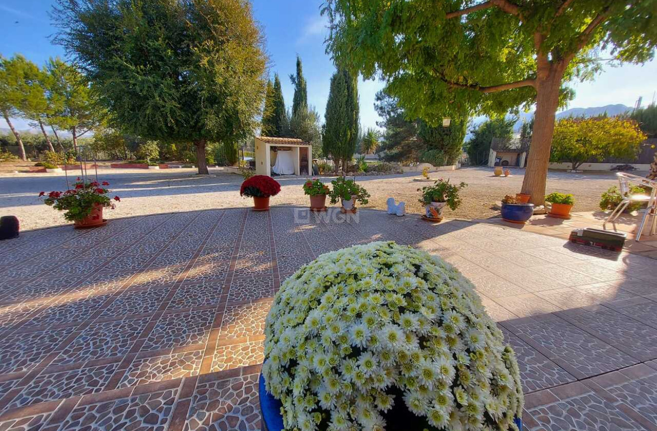 Resale - Villa - Calasparra - Inland