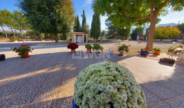 Resale - Villa - Calasparra - Inland