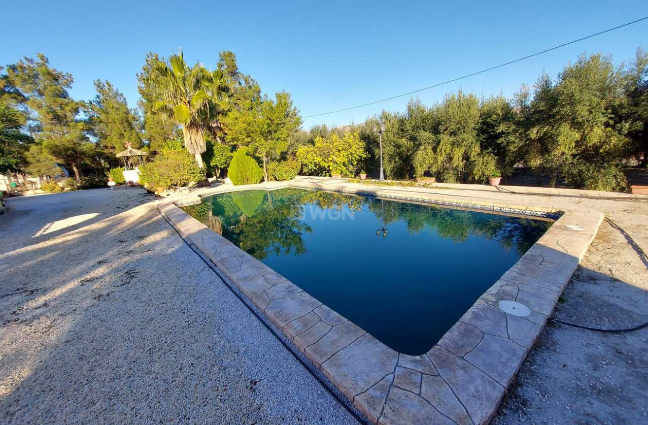 Resale - Villa - Calasparra - Inland