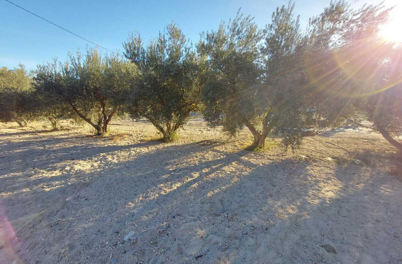 Resale - Villa - Calasparra - Inland