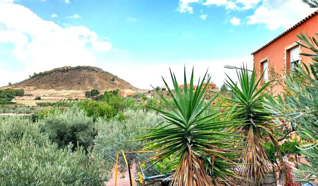 Resale - Villa - Calasparra - Inland