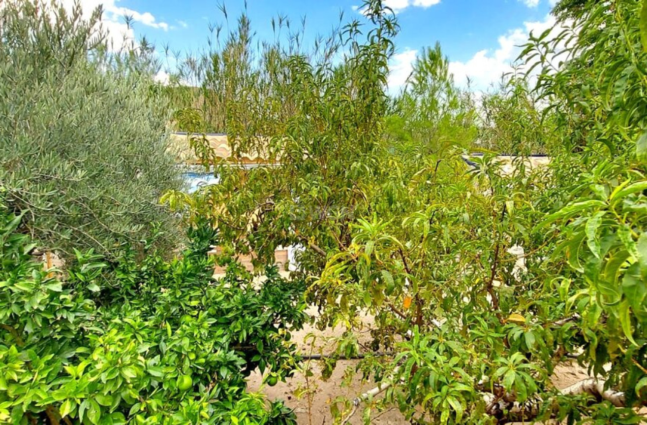 Resale - Villa - Calasparra - Inland