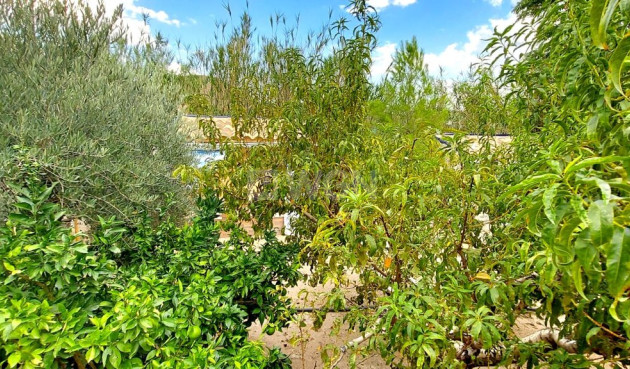 Resale - Villa - Calasparra - Inland