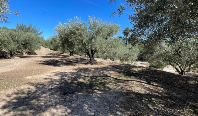 Resale - Villa - Calasparra - Inland