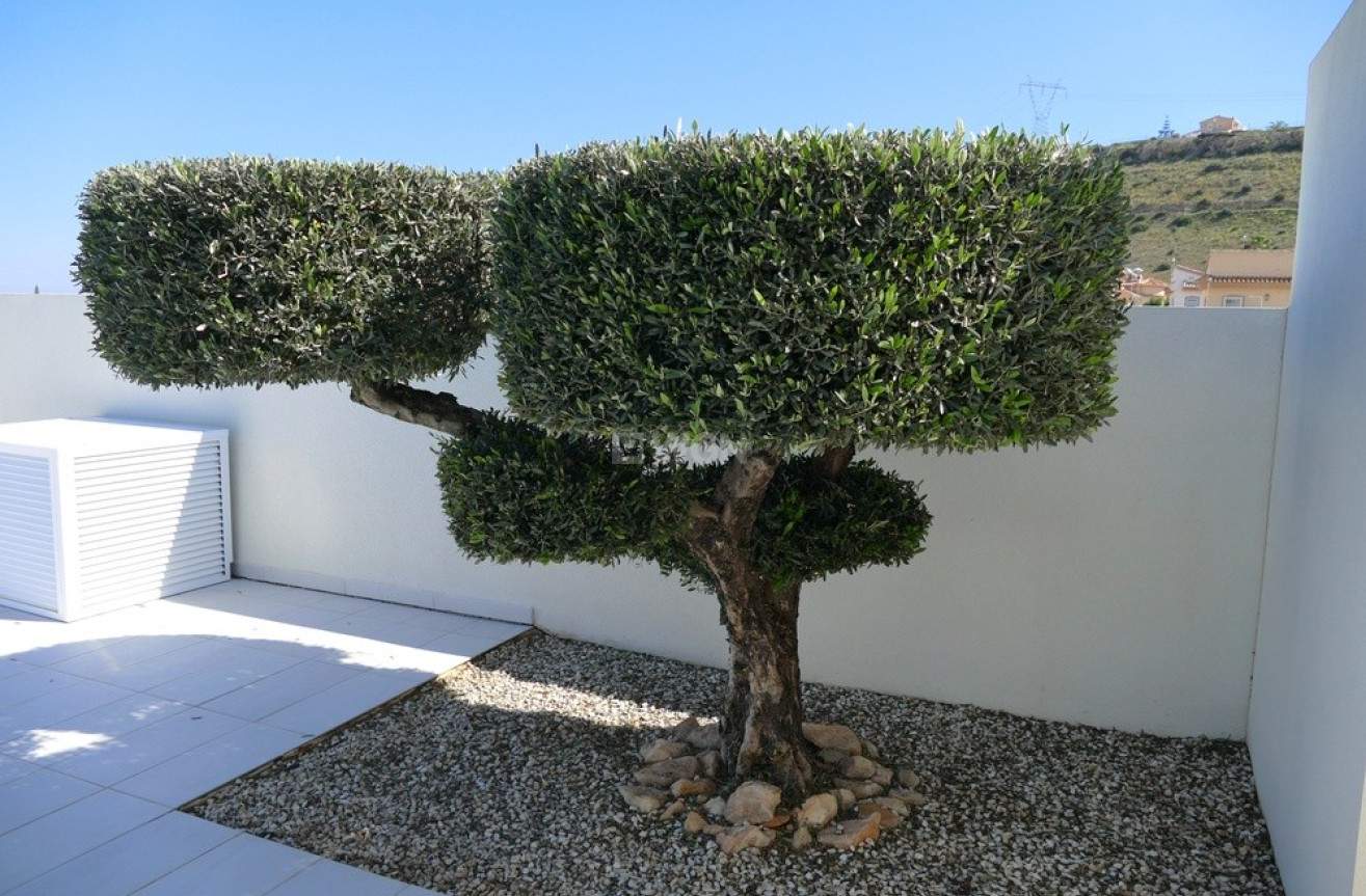 Resale - Villa - Benijofar - Costa Blanca