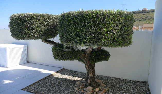 Resale - Villa - Benijofar - Costa Blanca