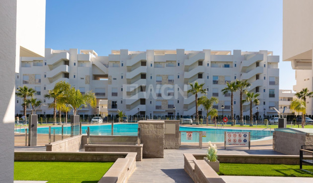 Resale - Apartment / flat - Guardamar del Segura - El Raso