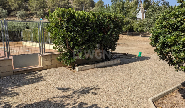 Resale - Villa - Murcia - Inland