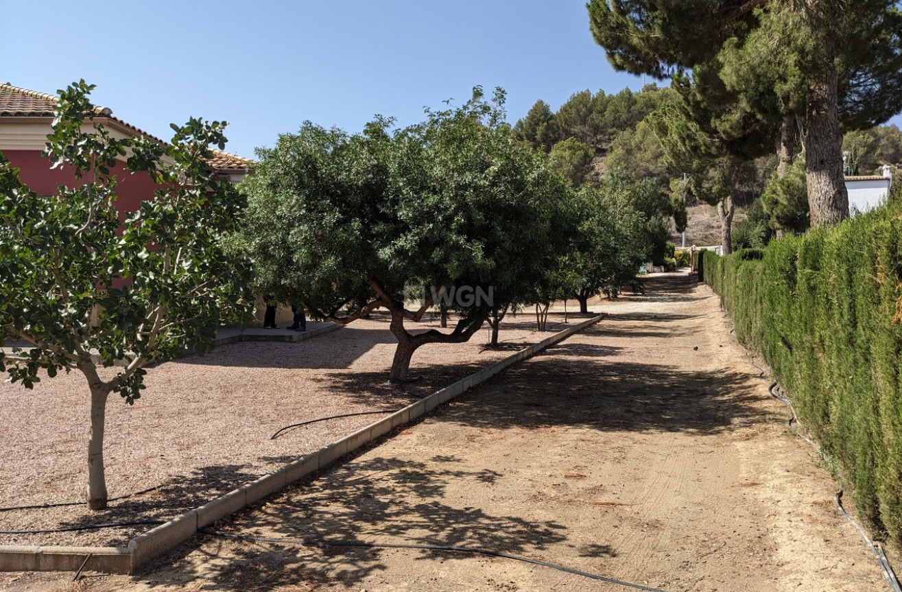 Resale - Villa - Murcia - Inland