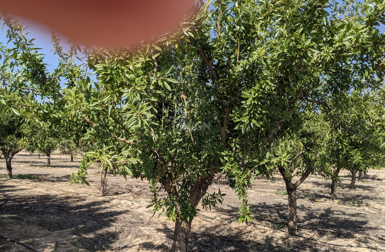 Resale - Villa - Murcia - Inland