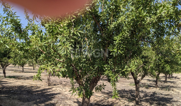 Resale - Villa - Murcia - Inland