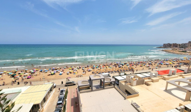 Resale - Penthouse - Torrevieja - Playa De La Mata