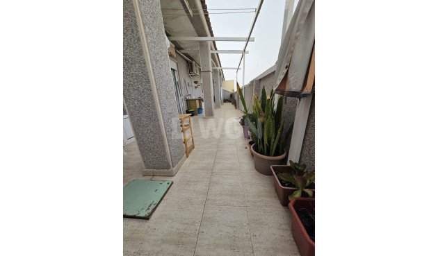 Resale - Penthouse - Torrevieja - Costa Blanca