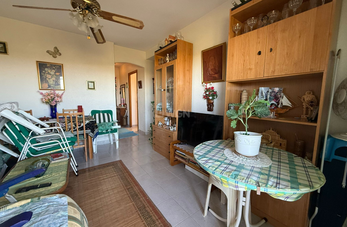 Odsprzedaż - Mieszkanie w bloku - Torrevieja - Costa Blanca