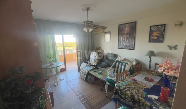 Odsprzedaż - Mieszkanie w bloku - Torrevieja - Costa Blanca
