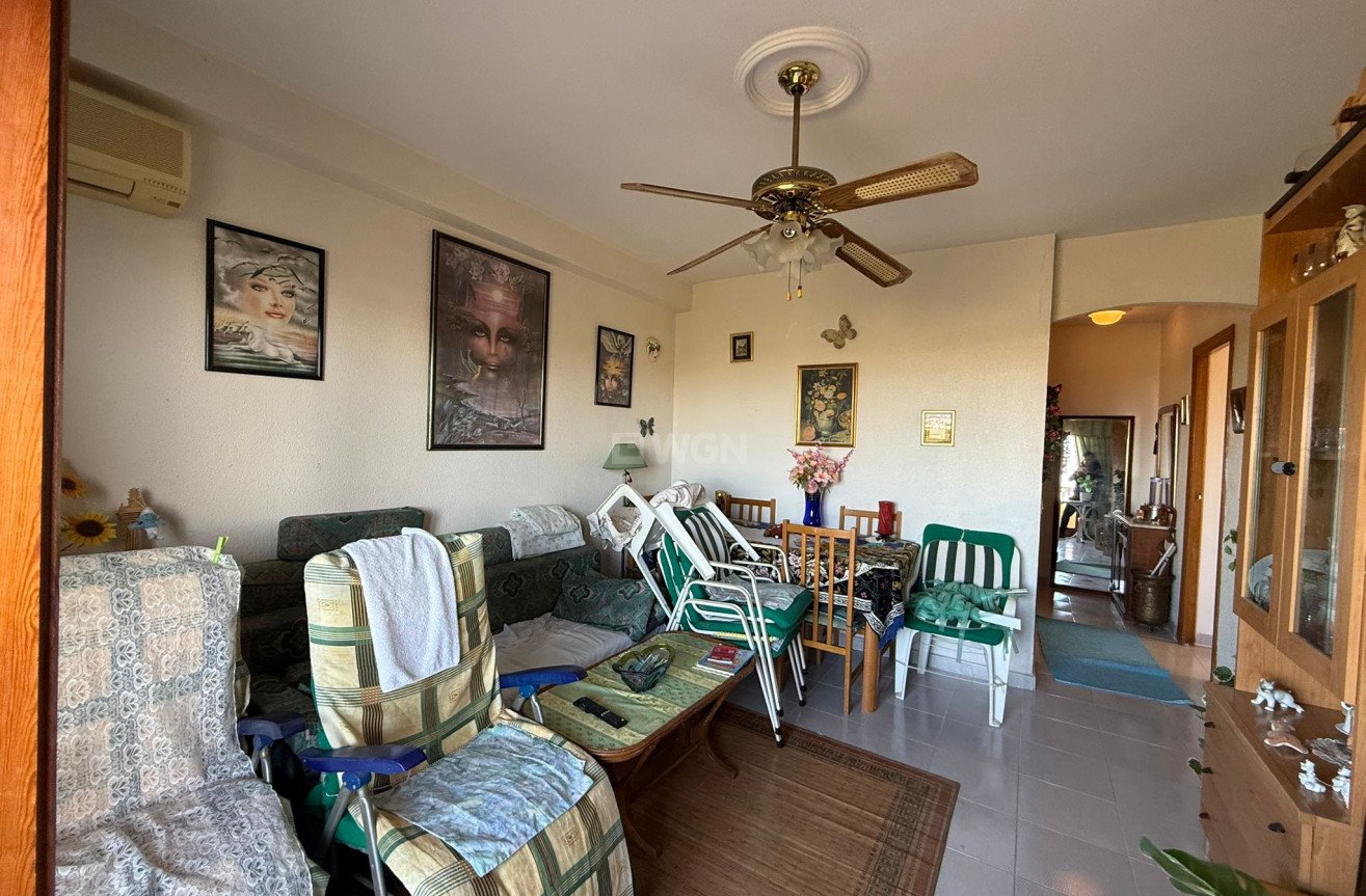 Odsprzedaż - Mieszkanie w bloku - Torrevieja - Costa Blanca