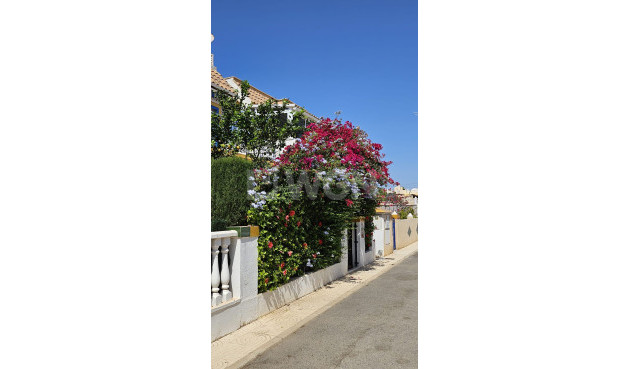 Resale - Bungalow - Orihuela Costa - Costa Blanca