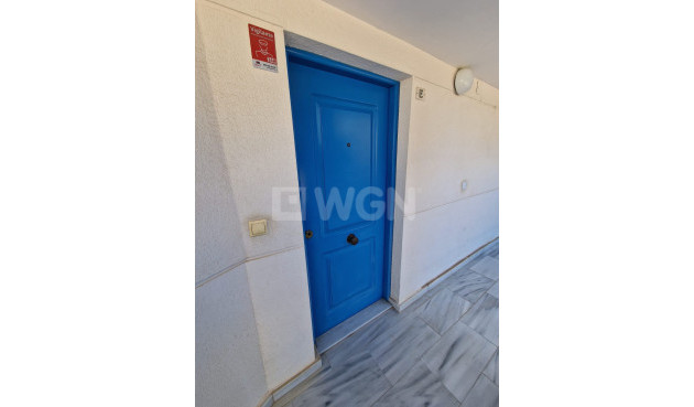 Resale - Apartment / flat - Guardamar del Segura - Costa Blanca