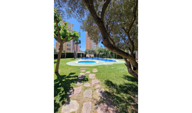 Resale - Apartment / flat - Guardamar del Segura - Costa Blanca