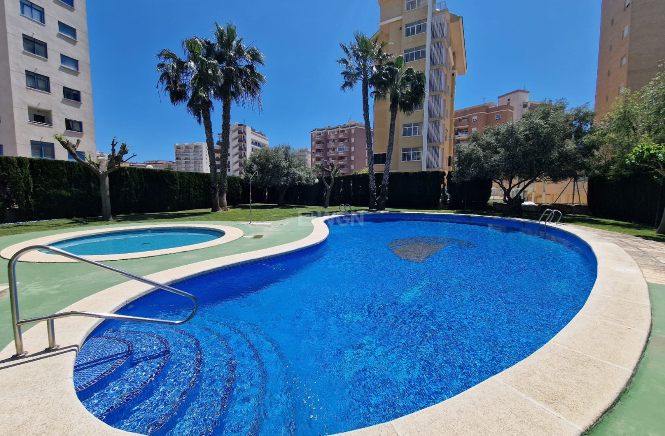 Resale - Apartment / flat - Guardamar del Segura - Costa Blanca