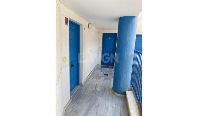 Resale - Apartment / flat - Guardamar del Segura - Costa Blanca