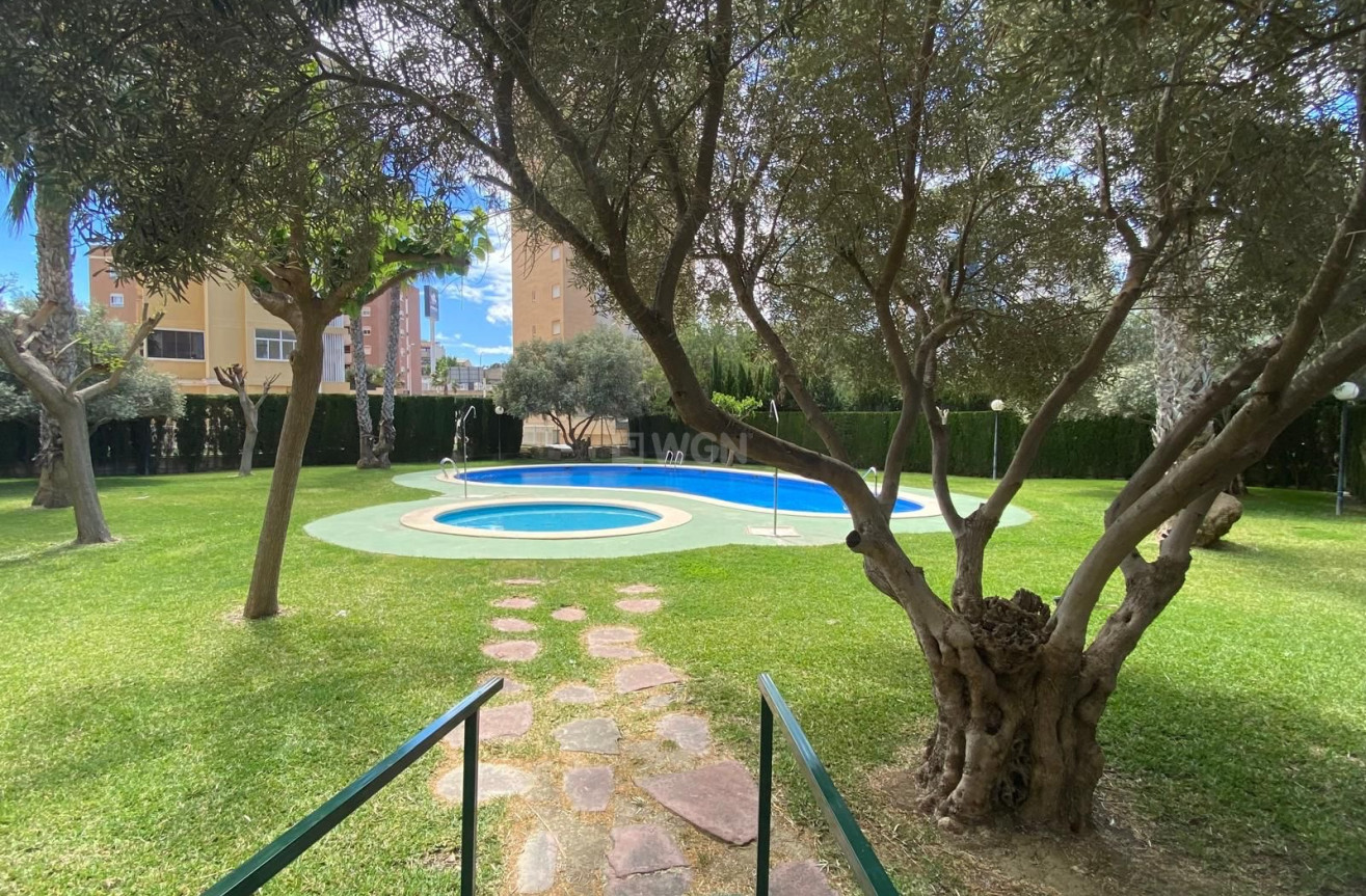 Resale - Apartment / flat - Guardamar del Segura - Costa Blanca