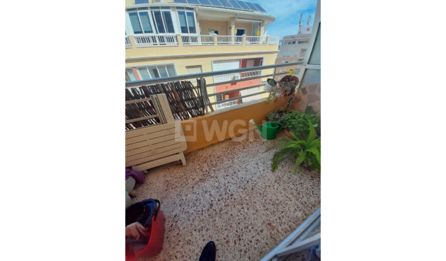 Wiederverkauf - Wohnung - Torrevieja - Costa Blanca